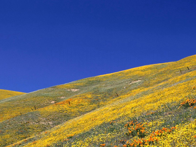 拥有18台电视机的“超级电视迷”-奇特的男性