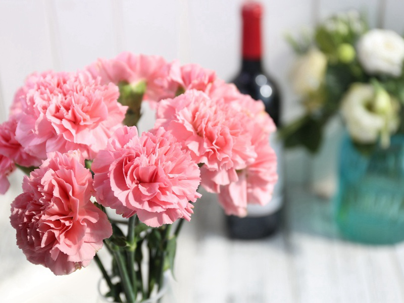 天才与白痴-奇特的男性