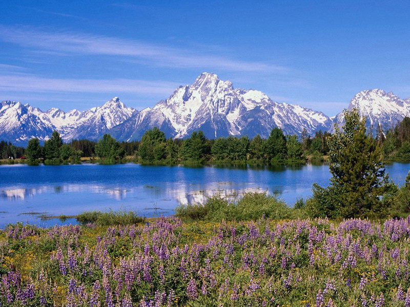 一丝不挂的“火娃”-奇特的男性