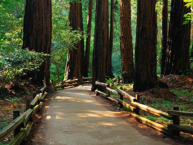 每年冬眠的人-奇特的男性