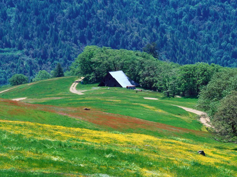 智利有蓝色皮肤的人-奇特的男性