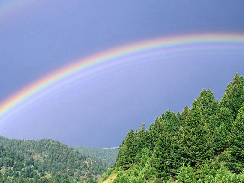 眼睛里长珍珠的人-奇特的男性