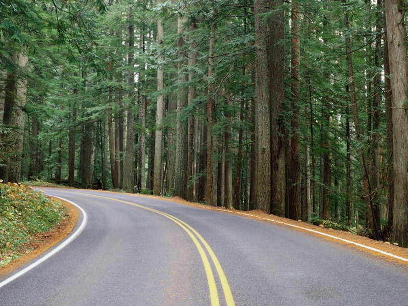 灵通大师沃夫.梅森-奇特的男性