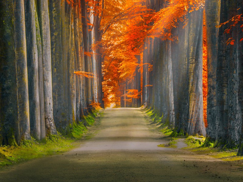 大英博物馆希腊石雕像被盗-历史财宝悬案