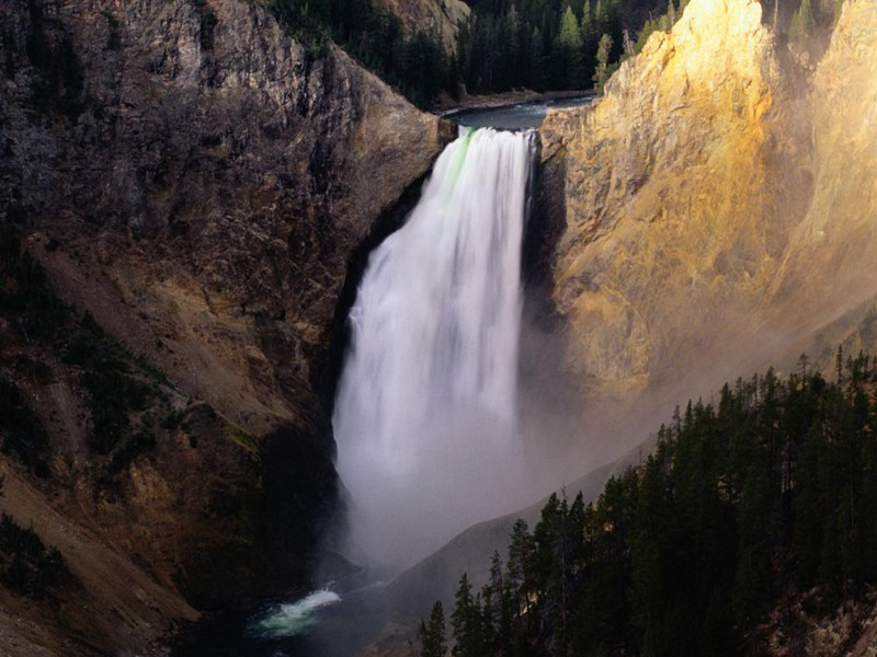 不用嘴说话的人-奇特的男性