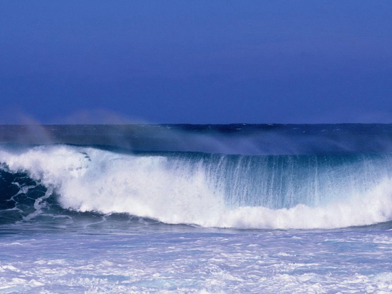 毒蛇咬不死的人-奇特的男性