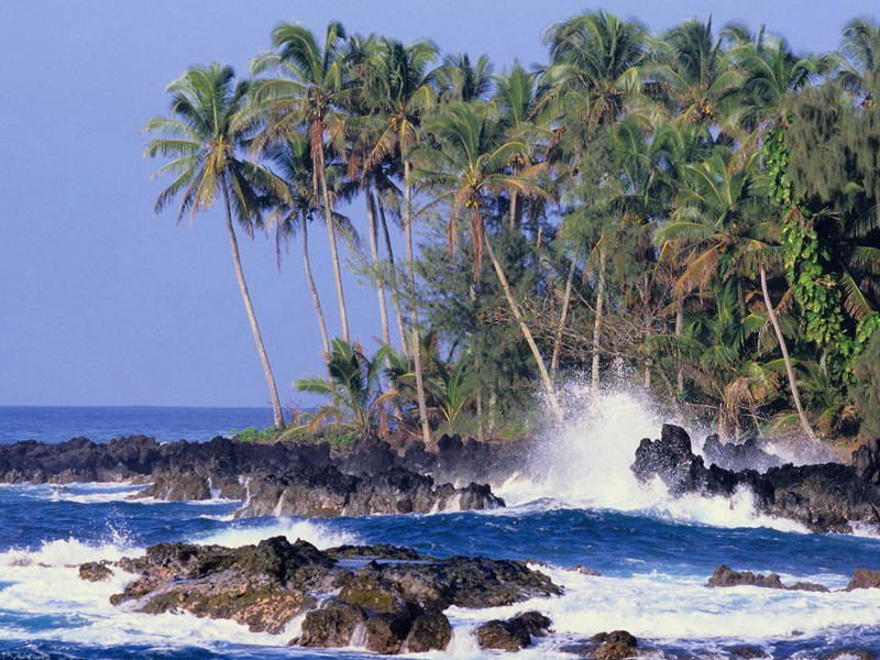 不喝水的奇人-奇特的男性