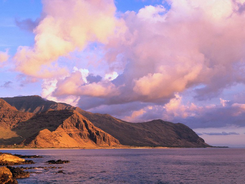 奇人达达舍夫-奇特的男性