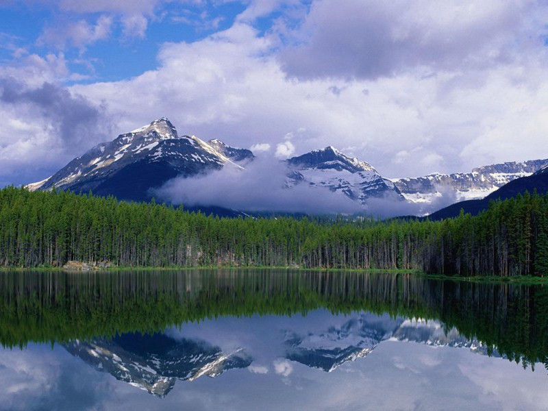 电话亭装人比赛-趣味运动兑技