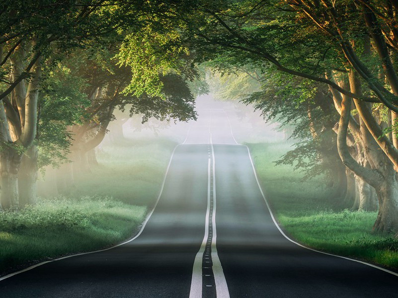 海牙博物馆价值百万钻石被盗-历史财宝悬案