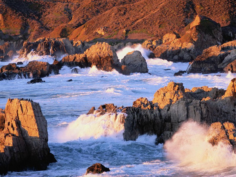 斗鱼比赛-趣味运动兑技