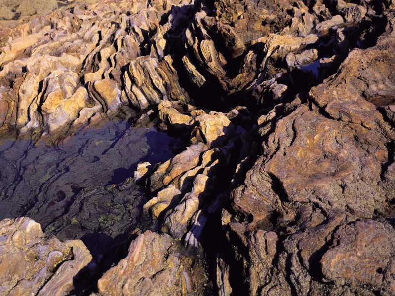 垒花生比赛-趣味运动兑技