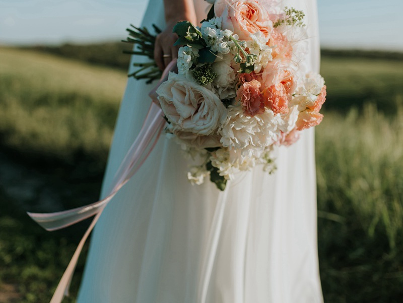 捕捉野象比赛-趣味运动兑技