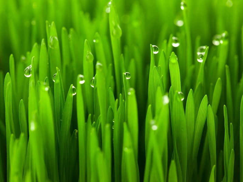 眼睛美比赛-趣味运动兑技