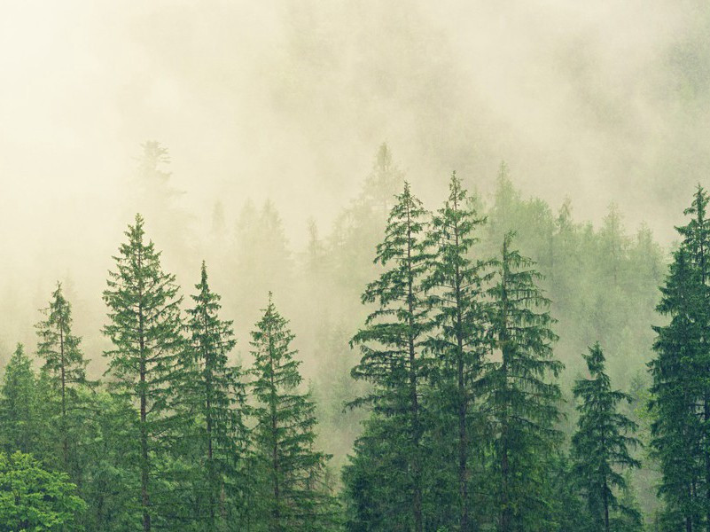 高跷竞走赛-趣味运动兑技