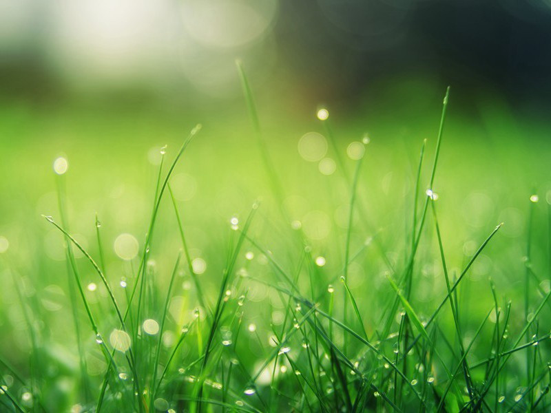 高跷登山-趣味运动兑技