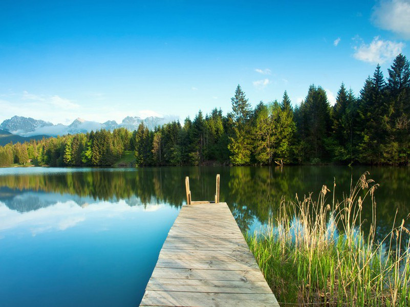 吃苹果饼比赛-趣味运动兑技