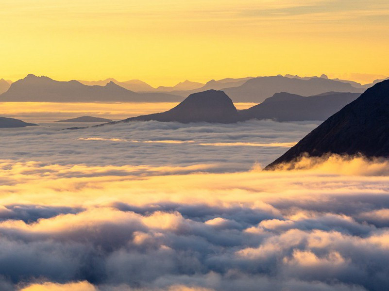 人、狮摔跤赛-趣味运动兑技