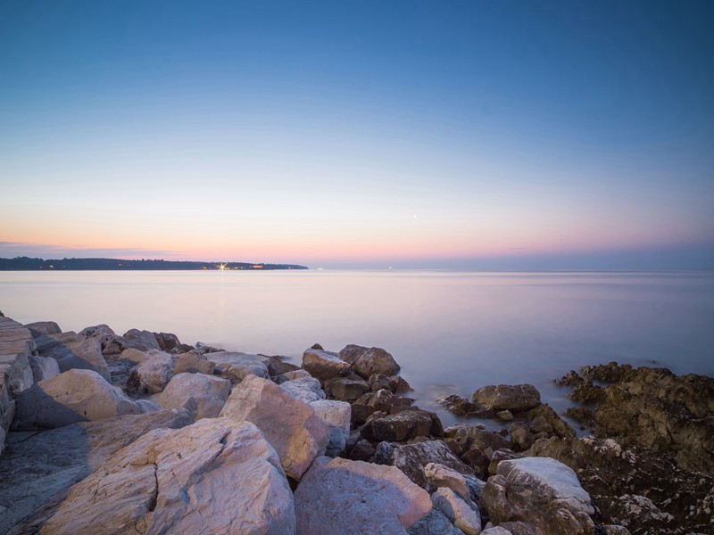 人、熊摔跤赛-趣味运动兑技