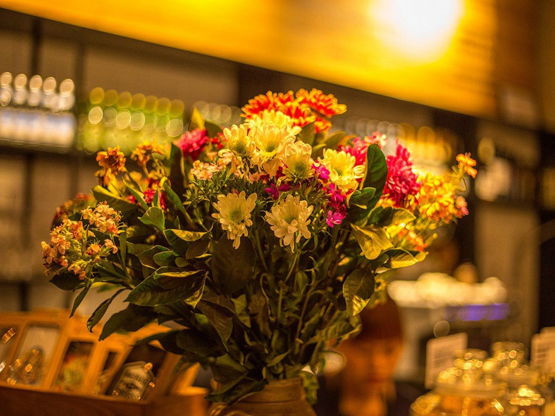 世界上最大的狗赛-趣味运动兑技