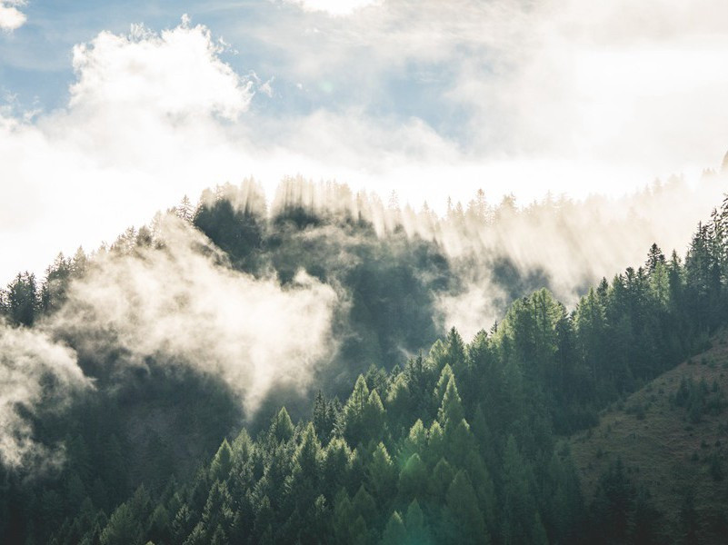 撑蛋比赛-趣味运动兑技