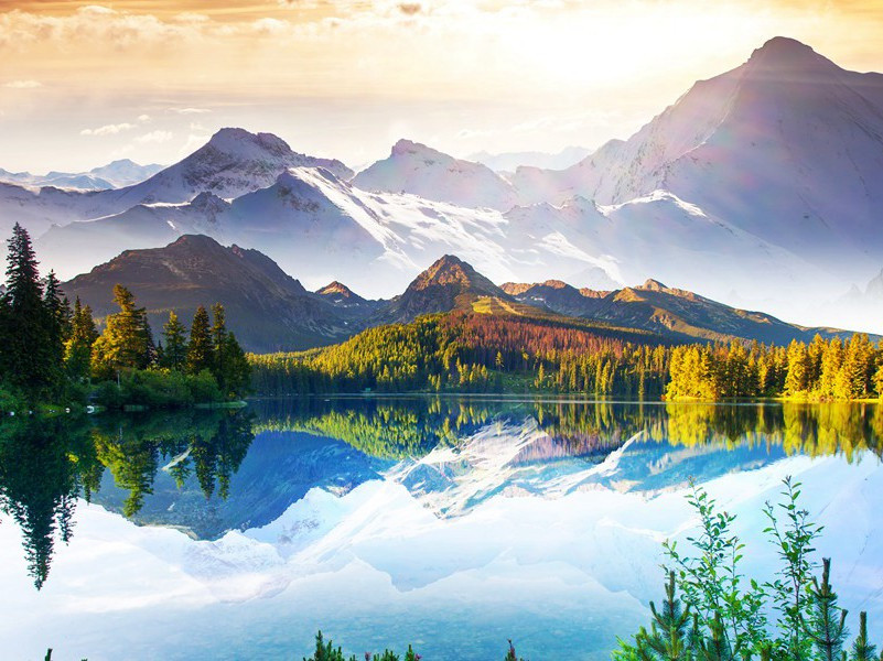 马上篮球比赛-趣味运动兑技