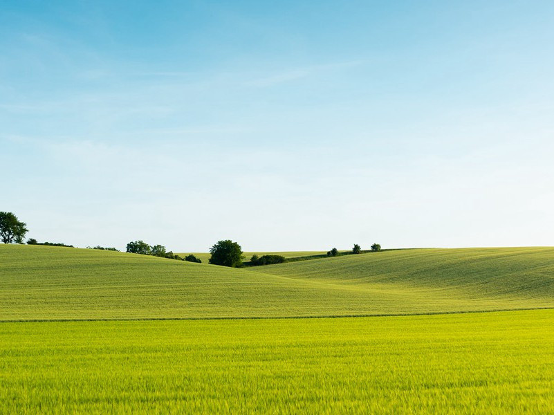 掷鸡蛋比赛-趣味运动兑技
