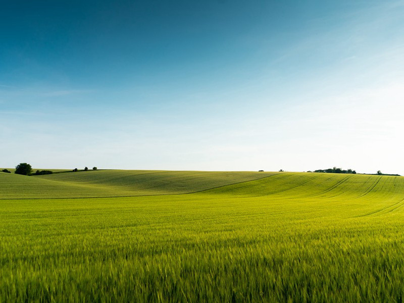 “雪茄烟”赛车比赛-趣味运动兑技