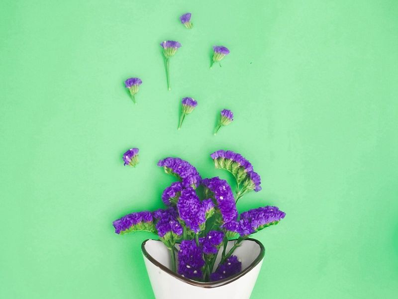 喊叫比赛-趣味运动兑技