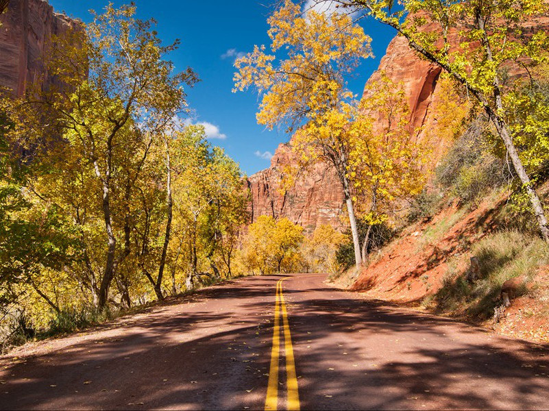 滑沙比赛-趣味运动兑技