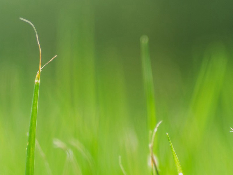 跨木格箱比赛-趣味运动兑技