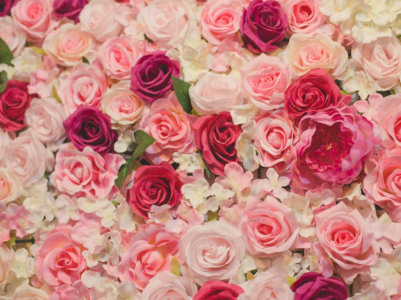 水下自行车比赛-趣味运动兑技