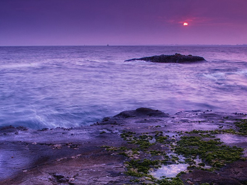 莫奈的油画作品在波兰被盗-历史财宝悬案