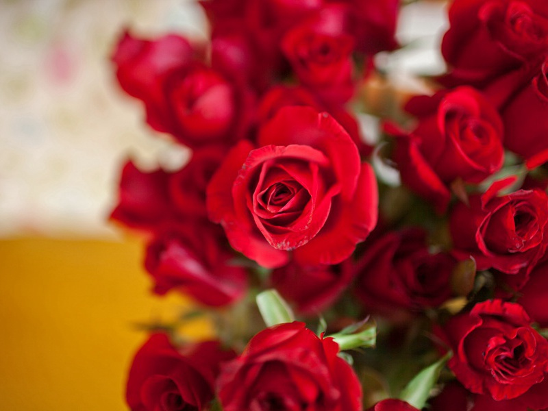 水下射击比赛-趣味运动兑技