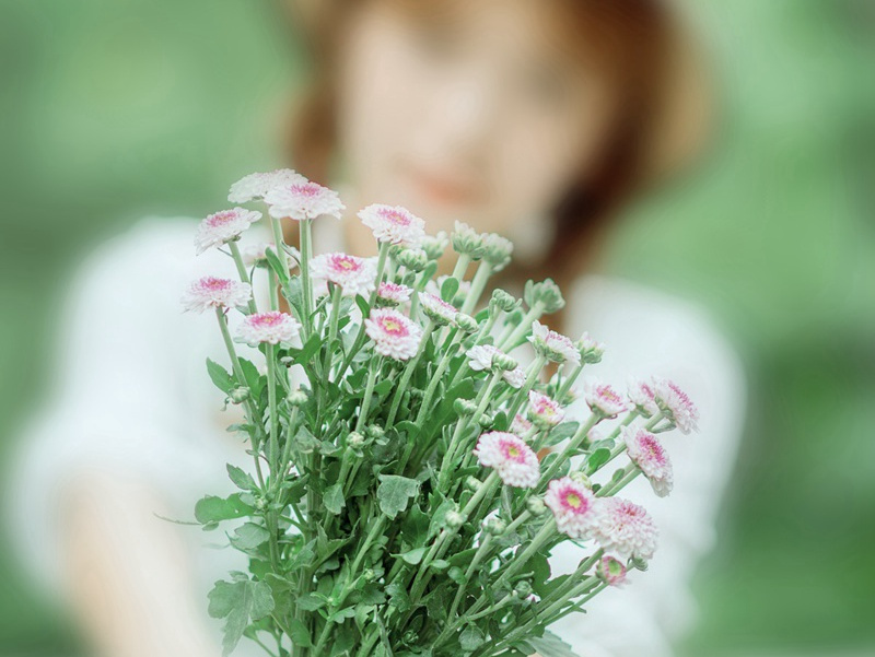 军犬轻骑兵赛-趣味运动兑技