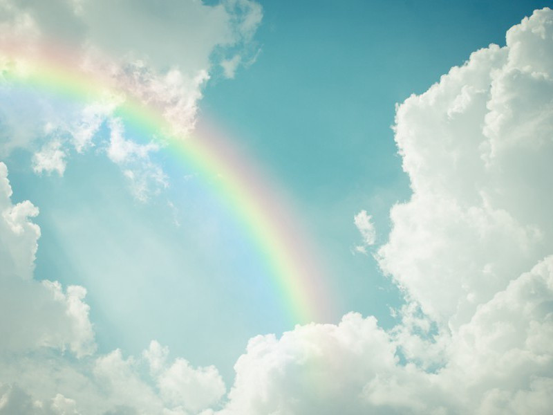 结婚和出生-趣味运动兑技