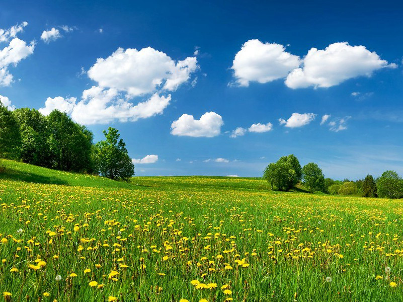 骇人听闻的一胎多胞纪录-趣味运动兑技