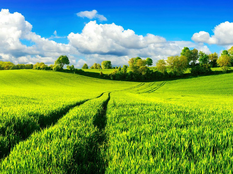 “不可分离”的双胞胎-趣味运动兑技