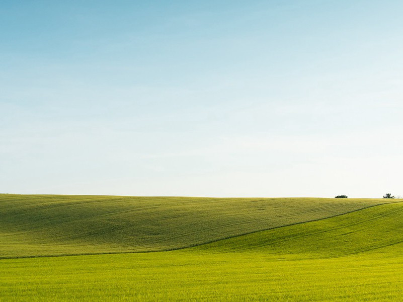 双胞胎之城-趣味运动兑技