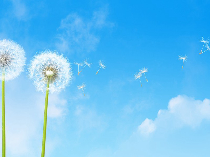 不能说话的人们-趣味运动兑技