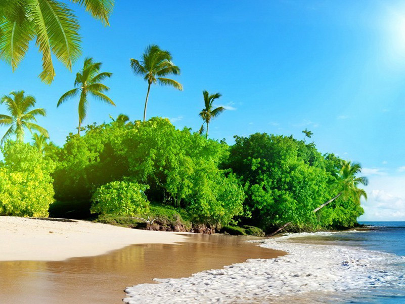 因蓄须而被判刑的人-趣味运动兑技