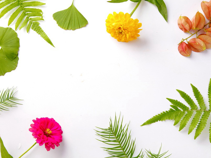 藏母尸成百万富翁-趣味运动兑技