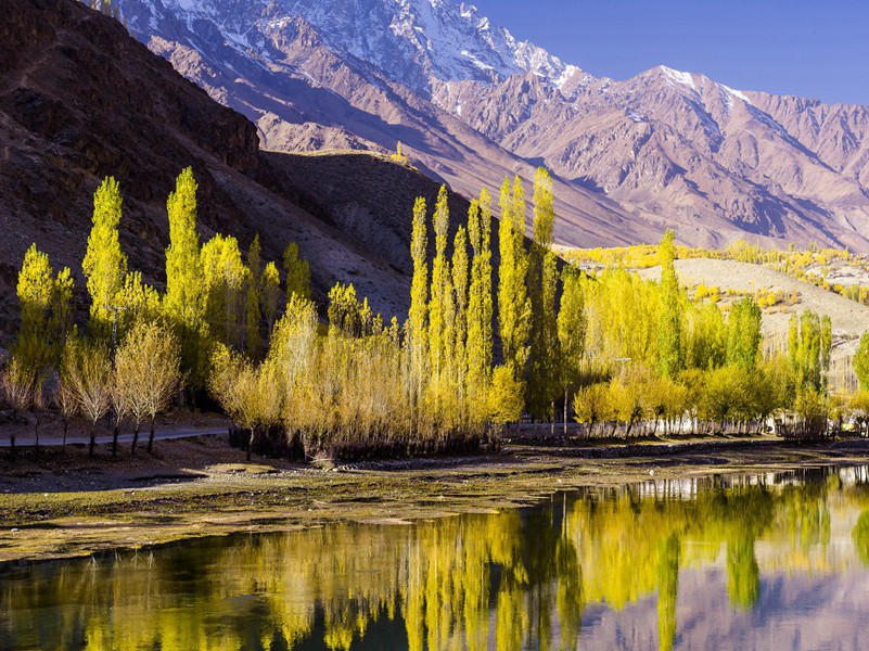 一木乃伊细胞有生命力-趣味运动兑技