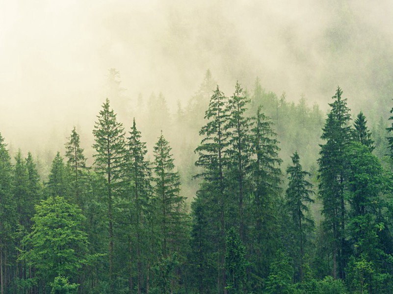 笑话使一少年起死回生-趣味运动兑技