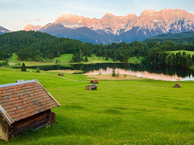 手术——移植人头-趣味运动兑技