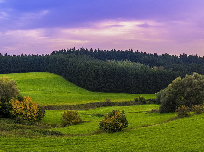 笑死症-趣味运动兑技