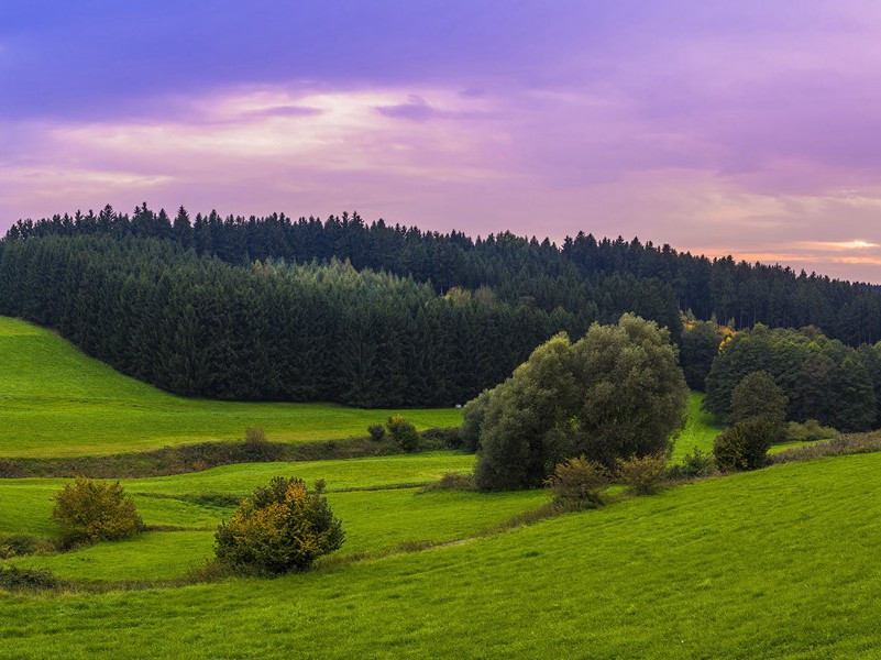 将早产儿放回子宫发育-趣味运动兑技