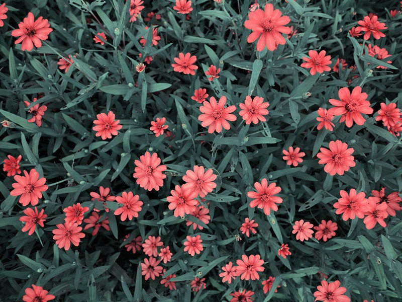 尝尝蚊子的滋味-趣味运动兑技