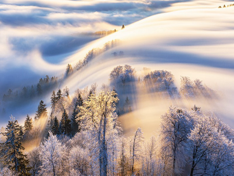 黄油交换城市-趣味运动兑技