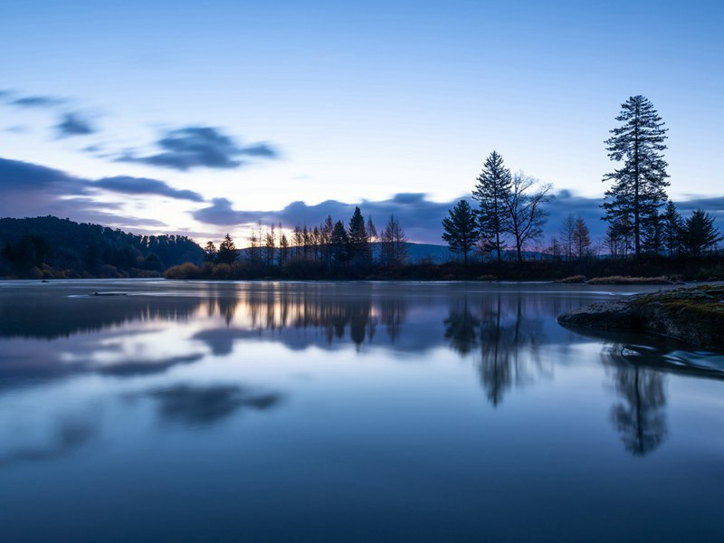 人与老鼠共居一室11年-趣味运动兑技